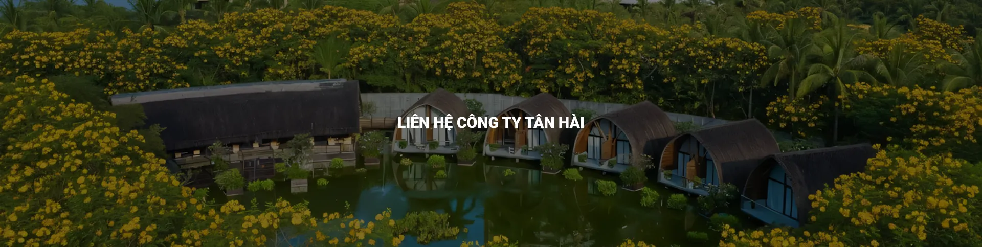 Liên hệ